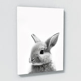 Nursery Baby Rabbit Black White 177 Wall Art