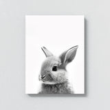 Nursery Baby Rabbit Black White 177 Wall Art