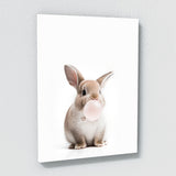 Nursery Baby Rabbit Bubble Gum 14 Wall Art