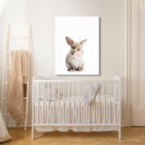 Nursery Baby Rabbit Bubble Gum 14 Wall Art