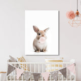 Nursery Baby Rabbit Bubble Gum 14 Wall Art
