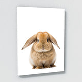 Nursery Baby Rabbit Photography 138 Wall Art