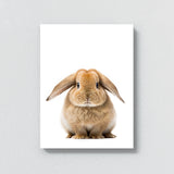 Nursery Baby Rabbit Photography 138 Wall Art