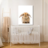 Nursery Baby Rabbit Photography 138 Wall Art
