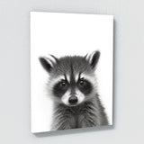 Nursery Baby Raccoon Black White 194 Wall Art