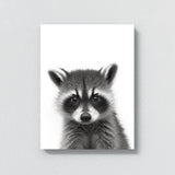 Nursery Baby Raccoon Black White 194 Wall Art