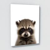 Nursery Baby Raccoon Photography 156 Wall Art