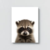 Nursery Baby Raccoon Photography 156 Wall Art