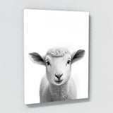 Nursery Baby Sheep Black White 185 Wall Art