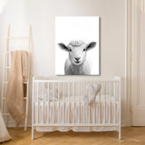 Nursery Baby Sheep Black White 185 Wall Art