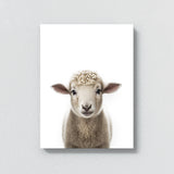 Nursery Baby Sheep Photography 149 Wall Art