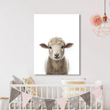 Nursery Baby Sheep Photography 149 Wall Art