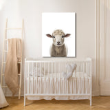 Nursery Baby Sheep Photography 149 Wall Art
