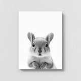 Nursery Baby Squirrel Black White 201 Wall Art