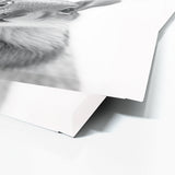 Nursery Baby Squirrel Black White 201 Wall Art