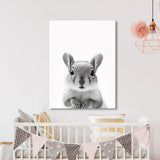 Nursery Baby Squirrel Black White 201 Wall Art