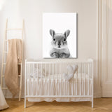 Nursery Baby Squirrel Black White 201 Wall Art