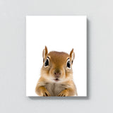 Nursery Baby Squirrel Photography 169 Wall Art