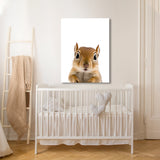 Nursery Baby Squirrel Photography 169 Wall Art