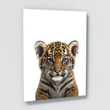 Nursery Baby Tiger Photography 135 Wall Art