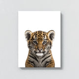 Nursery Baby Tiger Photography 135 Wall Art