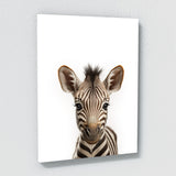 Nursery Baby Zebra Photography 153 Wall Art