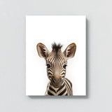 Nursery Baby Zebra Photography 153 Wall Art