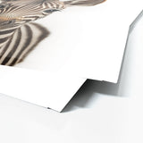 Nursery Baby Zebra Photography 153 Wall Art