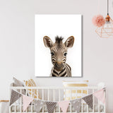Nursery Baby Zebra Photography 153 Wall Art