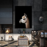 Animal Black Alpaca Head 249 Wall Art
