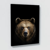 Animal Black Bear Head 117 Wall Art
