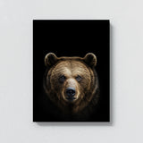 Animal Black Bear Head 117 Wall Art