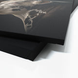 Animal Black Cow Head 243 Wall Art