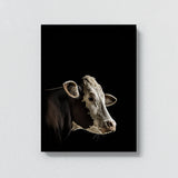 Animal Black Cow Head 246 Wall Art