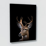 Animal Black Deer Head 31 Wall Art