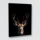 Animal Black Deer Head 32 Wall Art