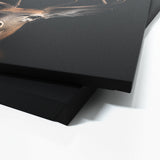 Animal Black Deer Head 32 Wall Art