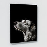 Animal Black Dog Head 95 Wall Art