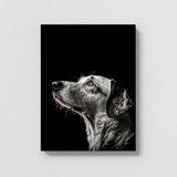 Animal Black Dog Head 95 Wall Art