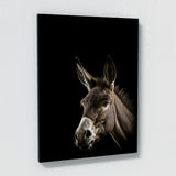 Animal Black Donkey Head 205 Wall Art