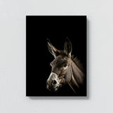 Animal Black Donkey Head 205 Wall Art