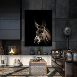 Animal Black Donkey Head 205 Wall Art