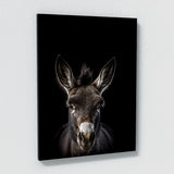 Animal Black Donkey Head 206 Wall Art