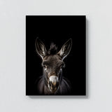 Animal Black Donkey Head 206 Wall Art