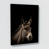 Animal Black Donkey Head 208 Wall Art