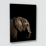 Animal Black Elephant Head 35 Wall Art