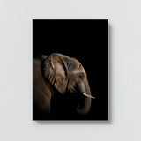 Animal Black Elephant Head 35 Wall Art