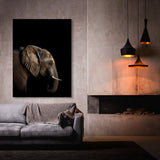 Animal Black Elephant Head 35 Wall Art