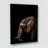 Animal Black Elephant Head 36 Wall Art