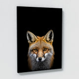 Animal Black Fox Head 74 Wall Art